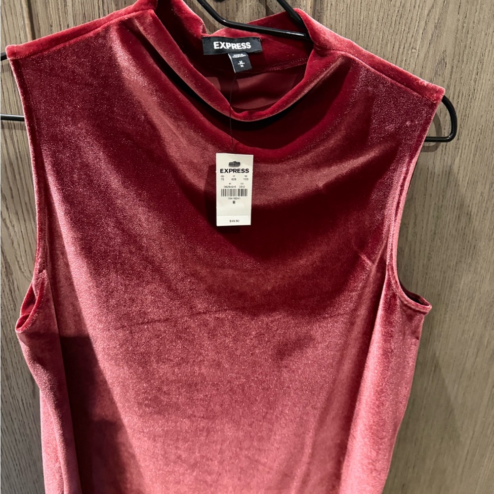 Express Deep Red velvet Blouse